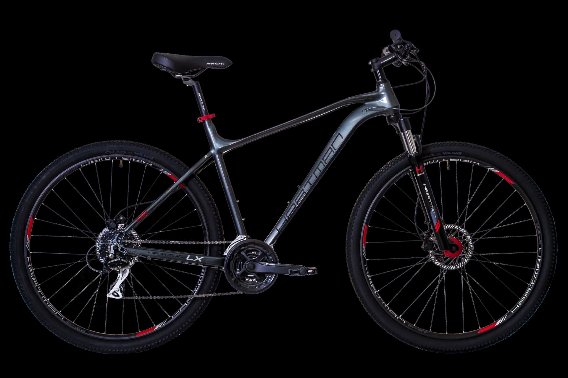 29" Neo NEXT - Серый - изображение 1